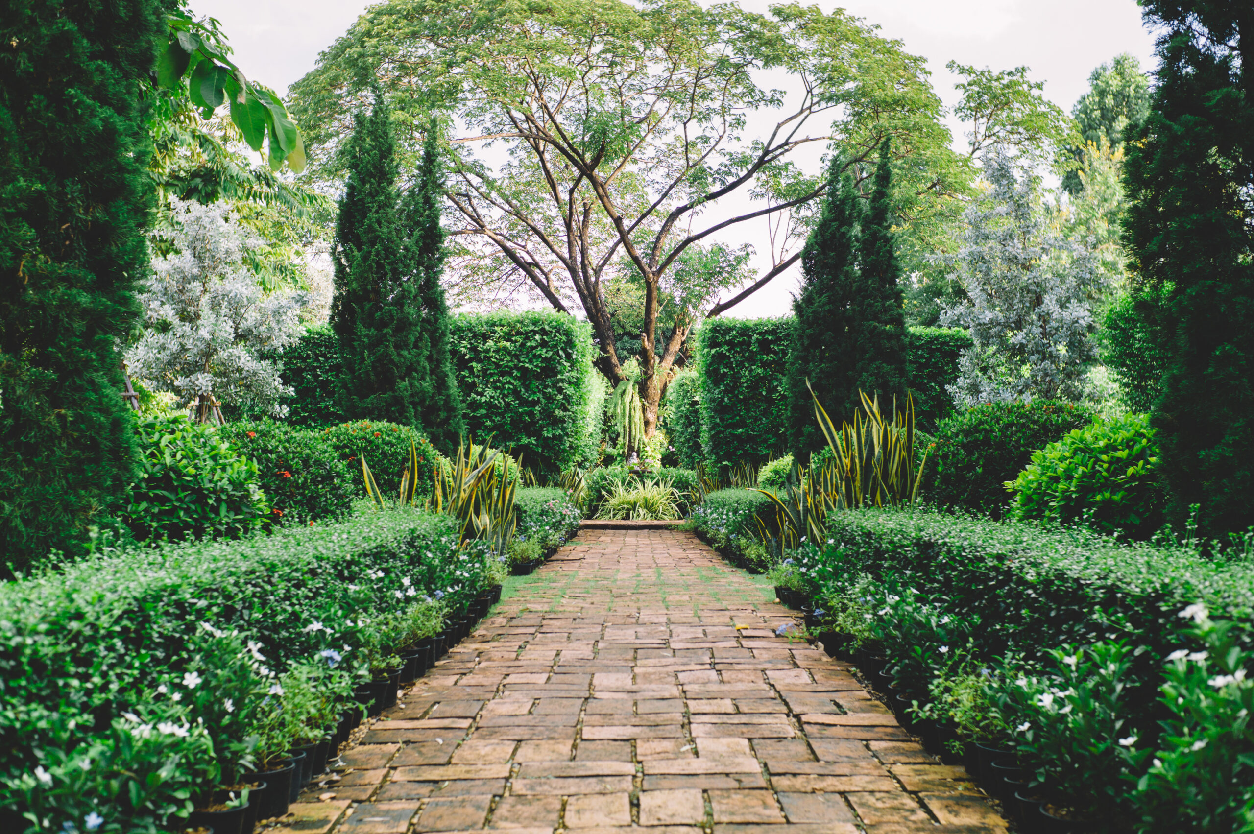 English style garden with walking path