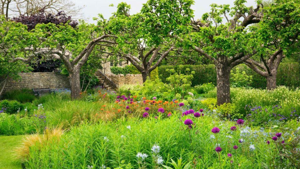 Ogród marzeń: Jak założyć wymarzony ogród od projektu do realizacji?