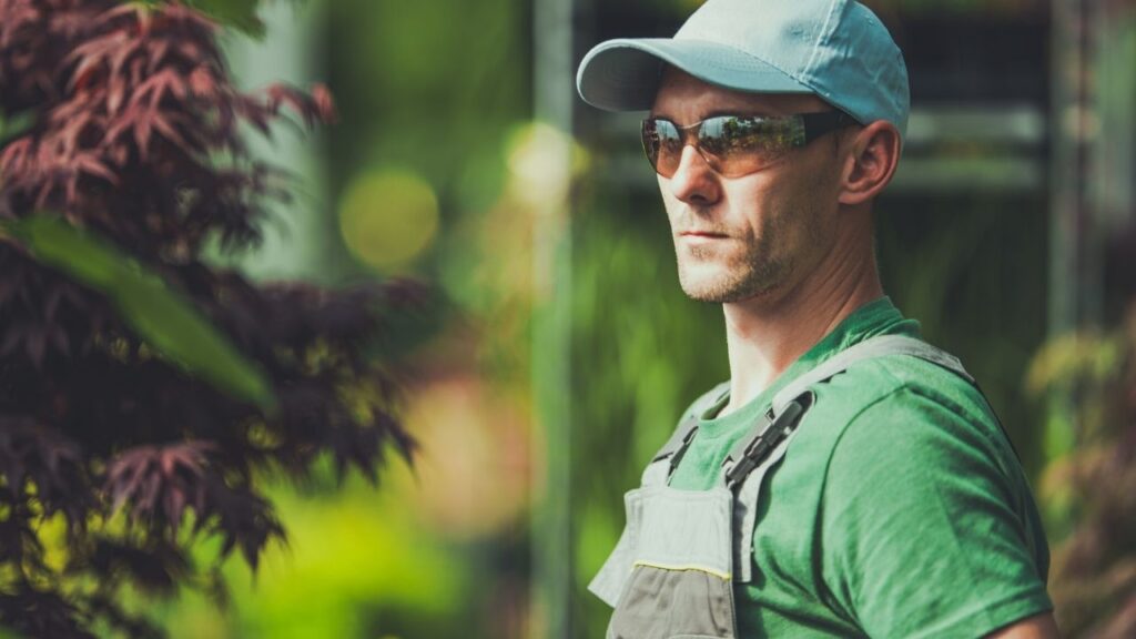 Przygotowanie do zakładania ogrodu: ocena charakterystyki gleby i nasłonecznienia