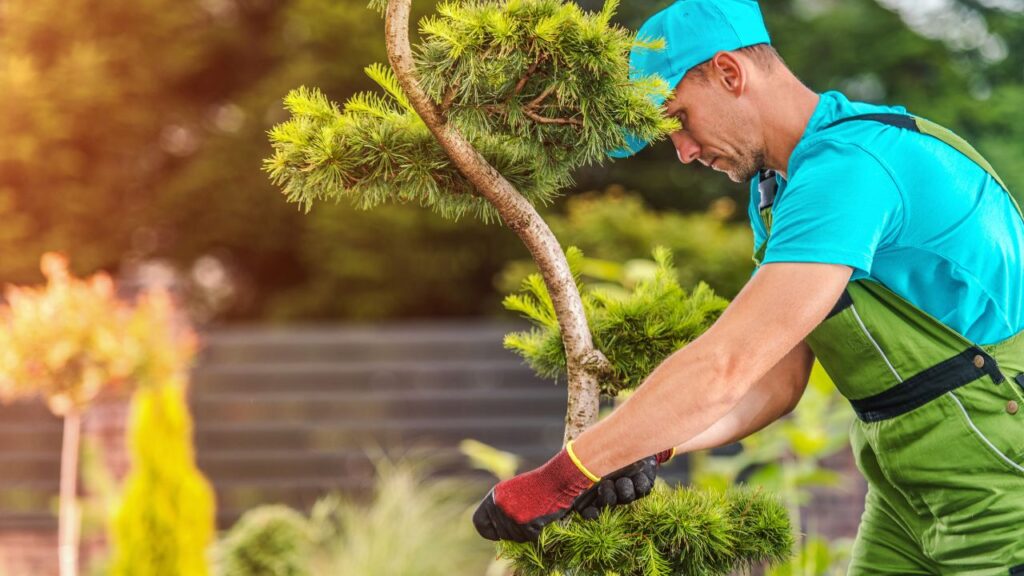Zakładanie ogrodu w Otwocku i okolicach – co warto wiedzieć przed rozpoczęciem?