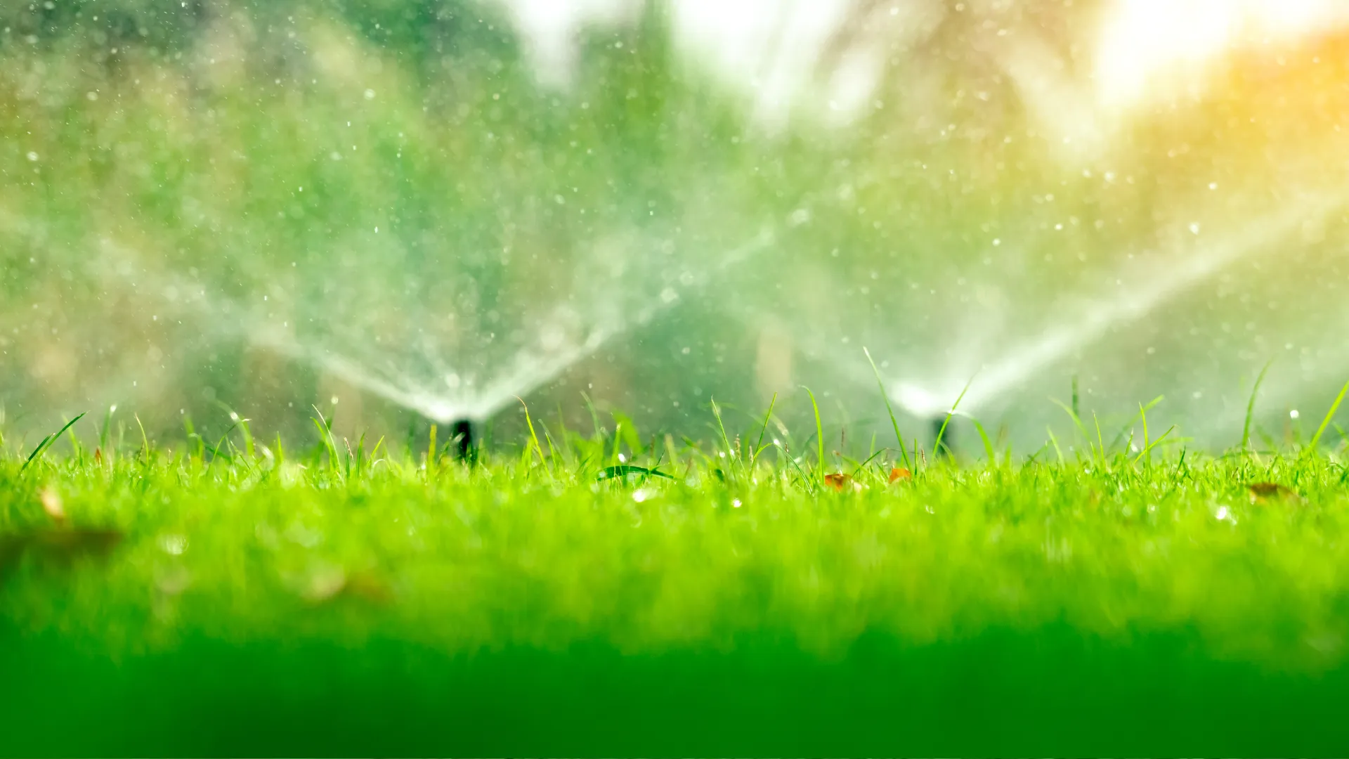 Czyszczenie zraszaczy i elektrozaworów – sprawne i równomierne nawadnianie