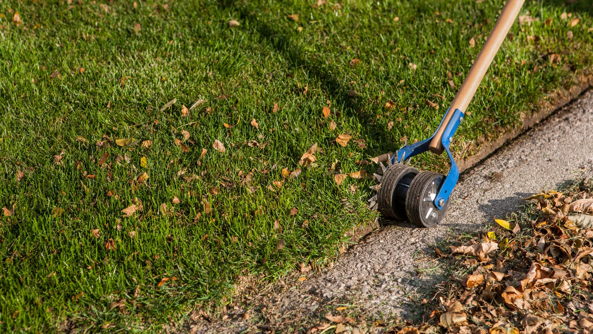 Krawędziowanie trawnika – precyzyjne wykończenie ogrodu