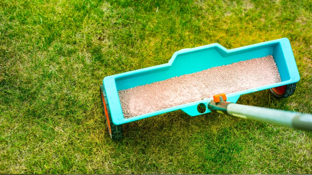 Nawożenie jesienne – wzmocnienie roślin przed zimą