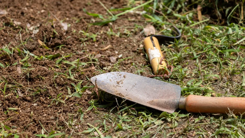 Pielenie – skuteczne usuwanie chwastów